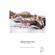 Hahnemuhle Pearlescent Photo Paper(44"x8...: Picture 2 thumbnail