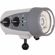Ikelite DS160 II: Picture 1 thumbnail