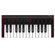 IK Multimedia iRig Keys 2 Mini: Picture 3 thumbnail