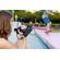 IK Multimedia iRig Pre 2: Picture 11 thumbnail