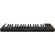 IK Multimedia iRig Keys 2: Picture 5 thumbnail