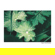 Harman Phoenix 200: Picture 10 thumbnail