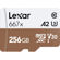Lexar Professional 667x: Picture 1 thumbnail