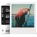 Impossible 600 Color Film for Polaroid 600 Type & Impossible I-Type Cameras, White Frame, 8 Exposures: Picture 1 thumbnail