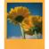 Impossible 600/I-Type Instant Film: Picture 1 thumbnail