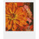 Impossible PX 680 Color Protection Film: Picture 1 thumbnail