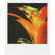 Impossible PX 70 Color Protection: Picture 3 thumbnail