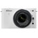 Nikon J1: Picture 1 thumbnail