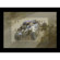Nikon D2XS 12.4 Megapixels Digital SLR C...: Picture 5 thumbnail