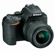 Nikon D5500: Picture 6 thumbnail