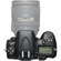 Nikon D800: Picture 4 thumbnail