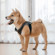 Insta360 Pet Strap Mount for GO 2 Camera: Picture 3 thumbnail