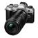 OM SYSTEM 90mm f/3.5: Picture 14 thumbnail