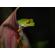 OM SYSTEM 90mm f/3.5: Picture 33 thumbnail