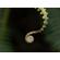 OM SYSTEM 90mm f/3.5: Picture 38 thumbnail