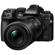 OM SYSTEM 90mm f/3.5: Picture 8 thumbnail