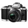 Olympus OM-D E-M10: Picture 5 thumbnail