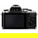 Olympus OM-D E-M10: Picture 2 thumbnail