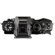 Olympus E-M5: Picture 3 thumbnail