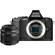 Olympus E-M5: Picture 5 thumbnail