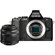 Olympus E-M5: Picture 2 thumbnail