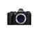 Olympus OM-D E-M5 Mark II: Picture 1 thumbnail