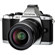 Olympus E-M5: Picture 2 thumbnail