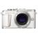Olympus PEN E-PL10: Picture 1 thumbnail