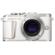 Olympus PEN E-PL10: Picture 5 thumbnail