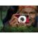 Olympus FD-1: Picture 8 thumbnail