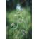 OM SYSTEM OM-5: Picture 14 thumbnail