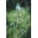 OM SYSTEM OM-5: Picture 11 thumbnail