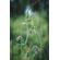 OM SYSTEM OM-5: Picture 24 thumbnail