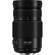 Panasonic 100-300mm II: Picture 11 thumbnail
