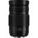 Panasonic 100-300mm II: Picture 12 thumbnail
