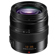 Panasonic LUMIX G X Leica DG Vario-Elmarit 12-35mm f/2.8 Aspherical Lens for MFT