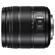 Panasonic 14-140mm f/3.5-5.6 II: Picture 2 thumbnail