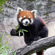 Panasonic LUMIX FZ80D: Picture 12 thumbnail