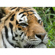 Panasonic LUMIX FZ80D: Picture 13 thumbnail