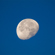 Panasonic LUMIX FZ80D: Picture 14 thumbnail