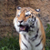 Panasonic LUMIX FZ80D: Picture 16 thumbnail