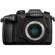 Panasonic DC-GH5s: Picture 9 thumbnail