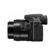 Panasonic DMC-FZ300: Picture 7 thumbnail
