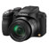 Panasonic DMC-FZ60: Picture 1 thumbnail