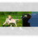 Panasonic DMC-GM5: Picture 5 thumbnail