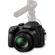 Panasonic DMC-FZ1000: Picture 6 thumbnail