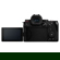Panasonic LUMIX G9II: Picture 4 thumbnail