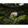 Panasonic LUMIX G9II: Picture 13 thumbnail