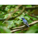 Panasonic LUMIX G9II: Picture 17 thumbnail