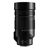 Panasonic 100-400mm f/4-6.3: Picture 2 thumbnail